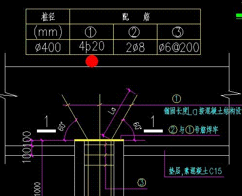 大家好,请问像图中1#桩头插筋的型号代表什么钢筋?